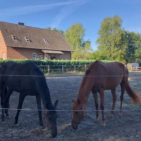 ベッド・アンド・ブレックファスト Charmantes In Luhmuhlen